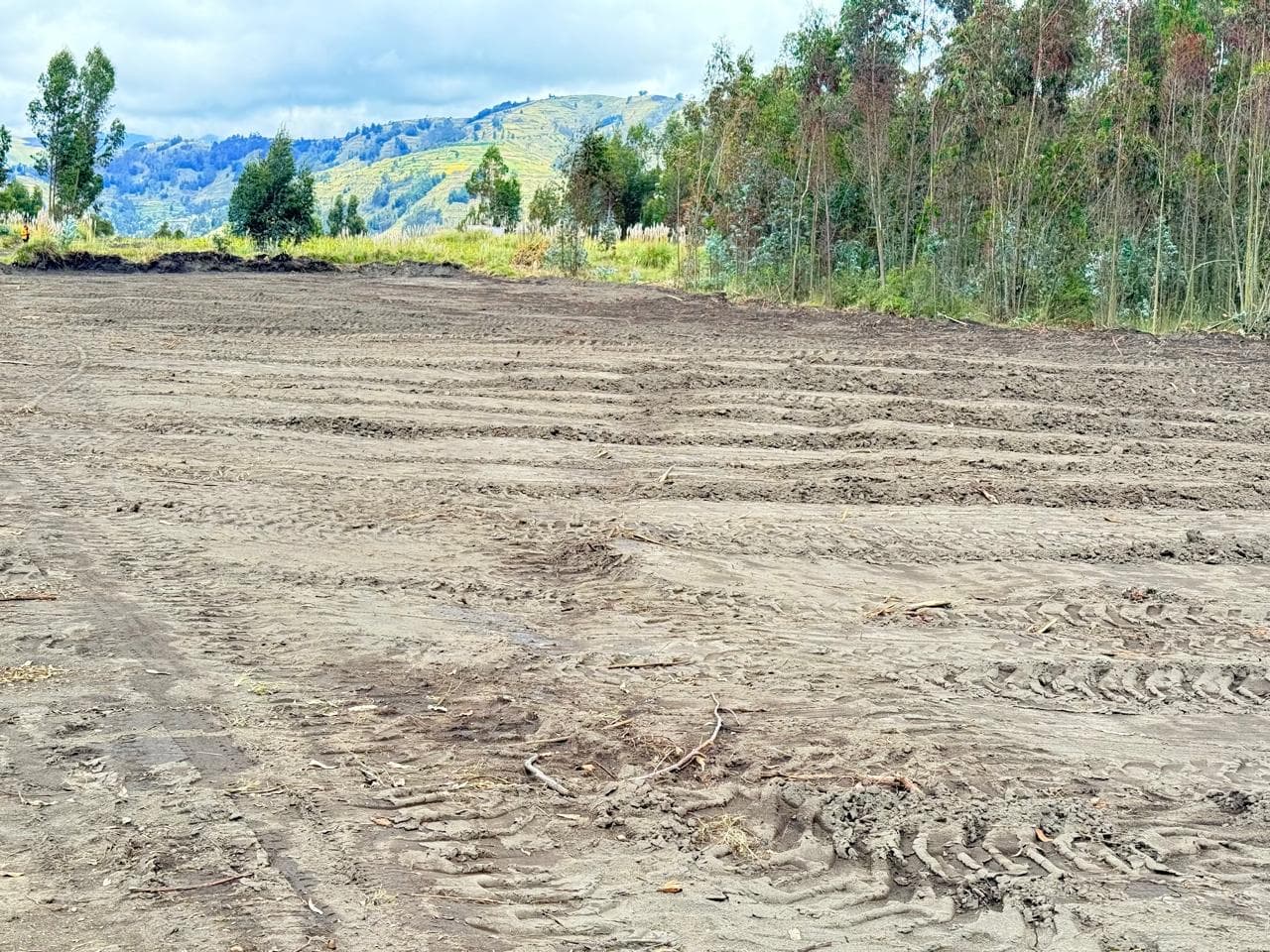 Foto de SE VENDE UN TERRENO DE 3.662 METROS EN SAN VICENTE DE LUISA