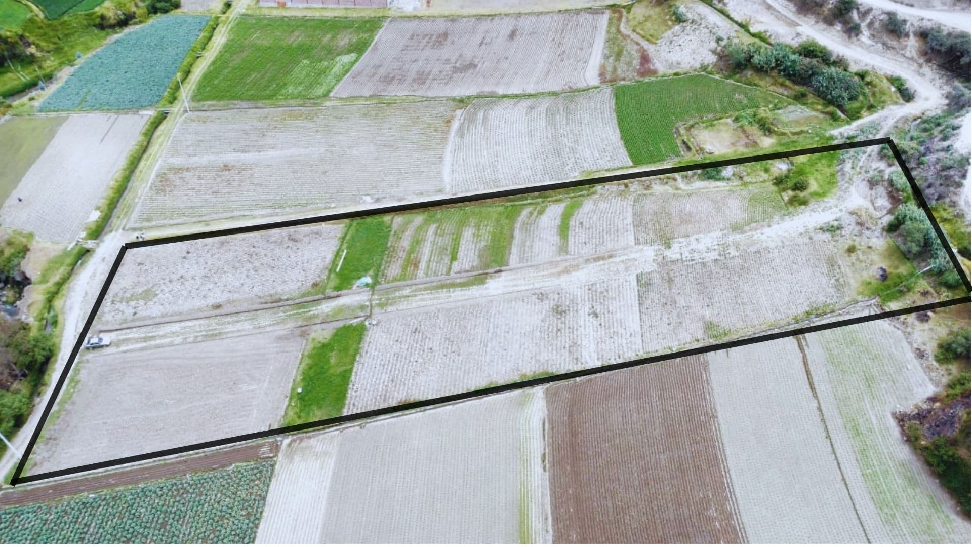 Foto de LOTES DE TERRENO EN PANTUS